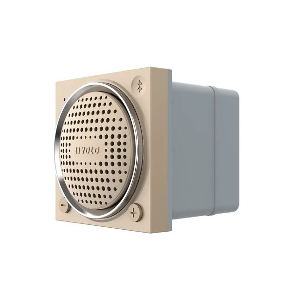 Modul Boxa Bluetooth Livolo