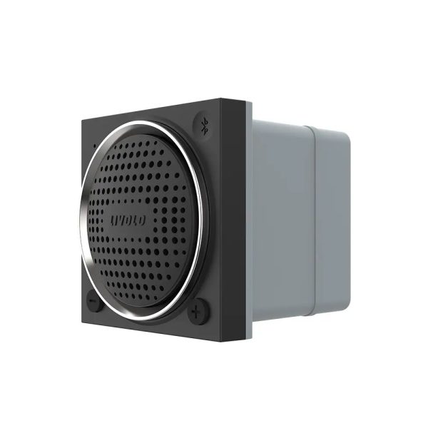 Modul Boxa Bluetooth Livolo