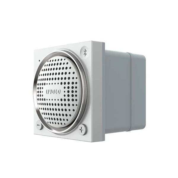 Modul Boxa Bluetooth Livolo