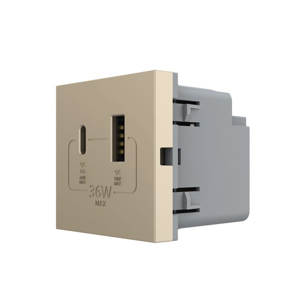 Modul Priza USB-A + USB-C LIVOLO – Serie Noua