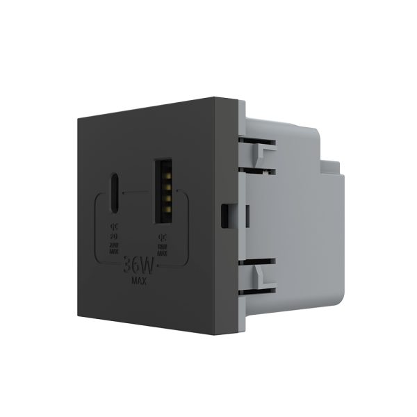 Modul Priza USB-A + USB-C LIVOLO – Serie Noua