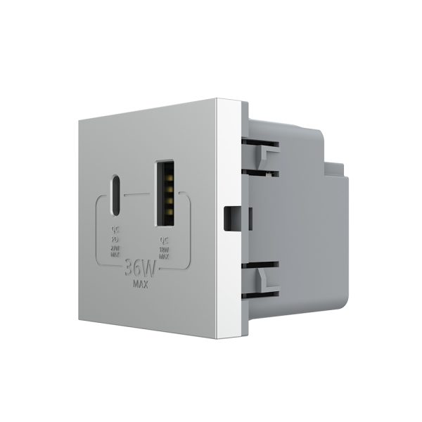 Modul Priza USB-A + USB-C LIVOLO – Serie Noua