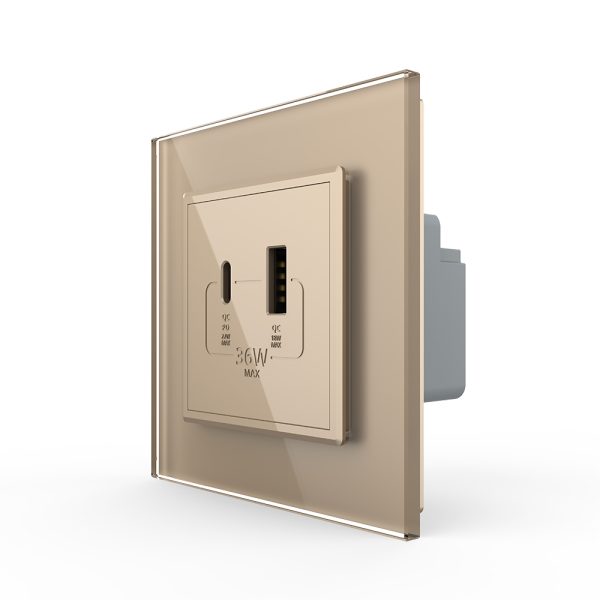 Priza USB-A + USB-C cu Rama Din Sticla LIVOLO – Serie Noua