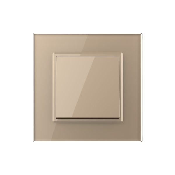 Intrerupator Simplu Mecanic si Cap Scara , 2 Module LIVOLO cu Rama din Sticla – Serie Noua