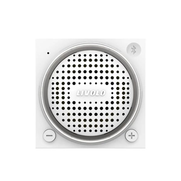 Modul Boxa Bluetooth Livolo