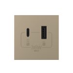 Modul Priza USB-A + USB-C LIVOLO – Serie Noua