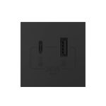 Modul Priza USB-A + USB-C LIVOLO – Serie Noua