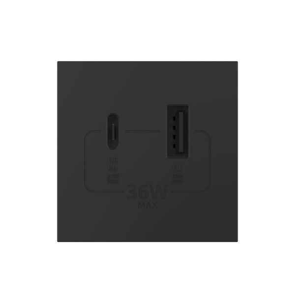 Modul Priza USB-A + USB-C LIVOLO – Serie Noua
