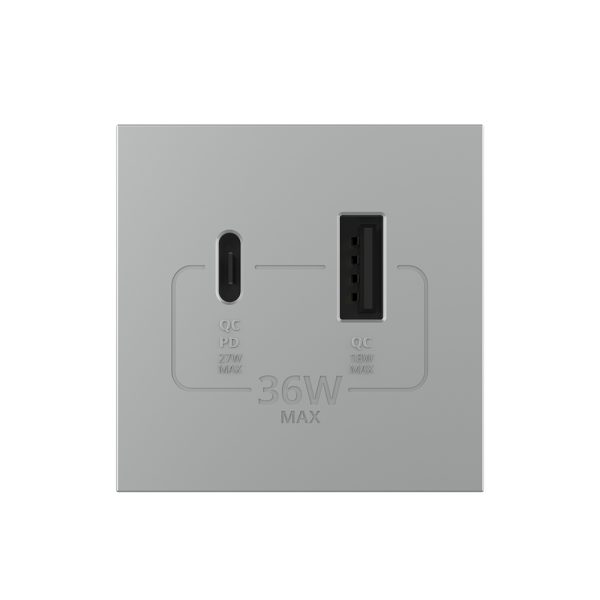 Modul Priza USB-A + USB-C LIVOLO – Serie Noua