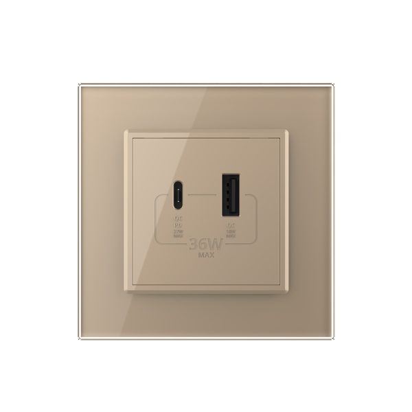Priza USB-A + USB-C cu Rama Din Sticla LIVOLO – Serie Noua