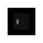Priza USB + Blank cu Rama din Sticla LUXION