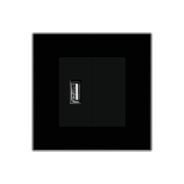 Priza USB + Blank cu Rama din Sticla LUXION