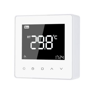 Display LCD