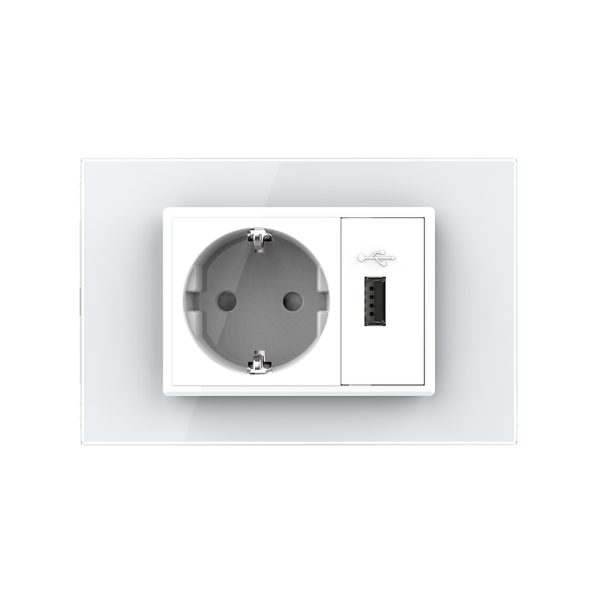 Priza simpla cu USB Livolo standard italian