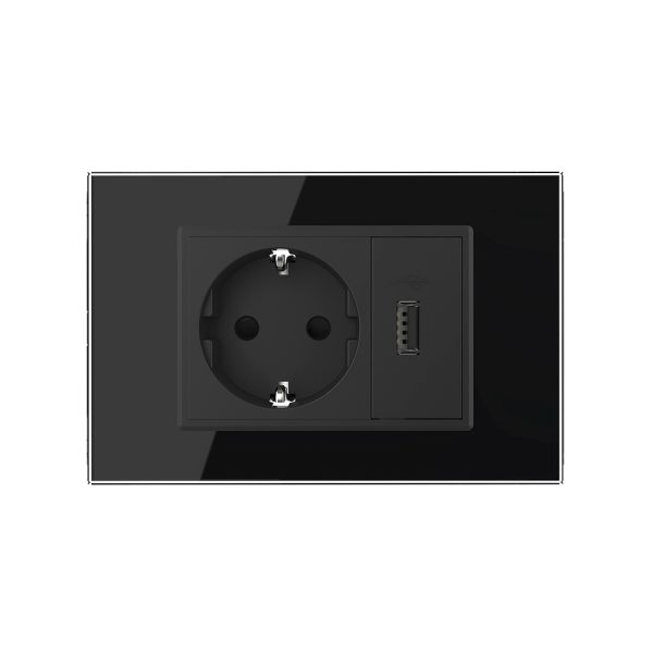 Priza simpla cu USB Livolo standard italian