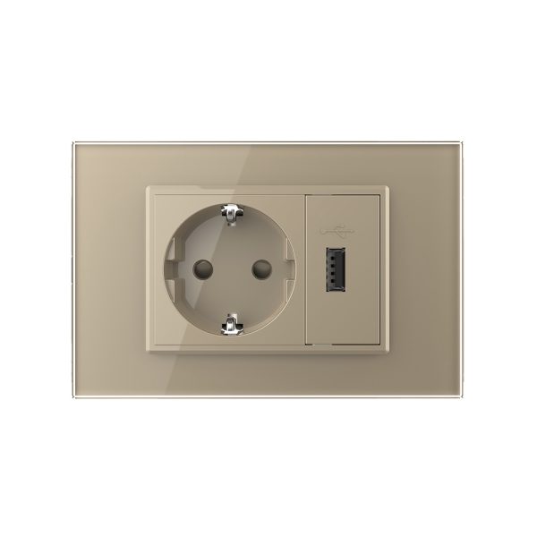 Priza simpla cu USB Livolo standard italian