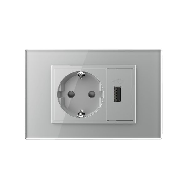 Priza simpla cu USB Livolo standard italian