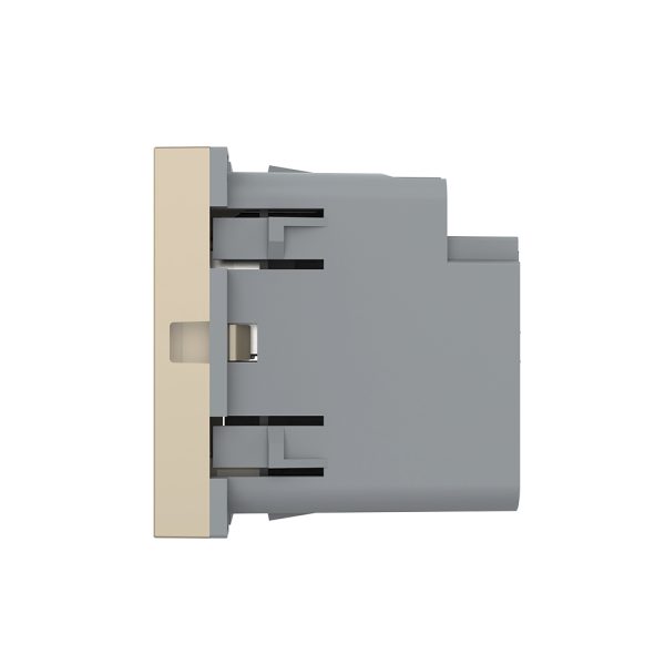 Modul Priza USB-A + USB-C LIVOLO – Serie Noua