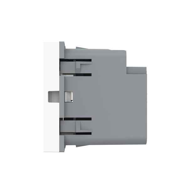 Modul Priza USB-A + USB-C LIVOLO – Serie Noua