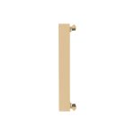Priza blank/goala 1M LUXION
