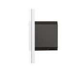 Priza Simpla Wi-Fi LUXION cu Rama din Sticla, RF433