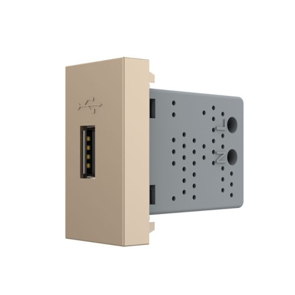 Priza USB Livolo