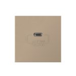 Modul Priza USB Tip C Livolo – Serie Noua