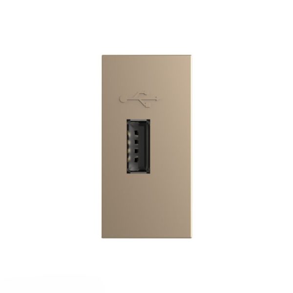 Priza USB Livolo