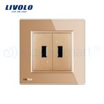 Priza dubla USB Livolo cu rama din sticla