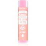 Dr. Bronner’s Cherry Blossom Lip Balm balsam de buze