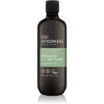 Baylis & Harding Goodness Bergamot & Clary Sage Gel de duș pentru bărbați