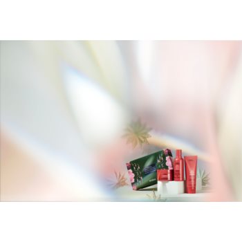 Aveda Nutriplenish™ Hydrating Essentials: Deep Moisture set cadou