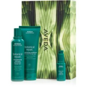 Aveda Botanical Repair™ Set set cadou (pentru păr)