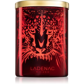 Ladenac Africa Leopardo Predator lumânare parfumată