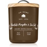 DW Home Farmhouse Chocolate Pumpkin & Sea Salt lumânare parfumată