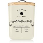 DW Home Farmhouse Hazelnut Praline & Vanilla lumânare parfumată