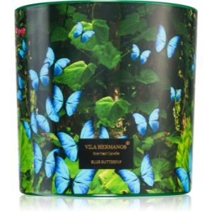 Vila Hermanos Jungletopia Blue Butterfly lumânare parfumată