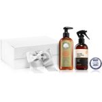 Reuzel Christmas Gift Set for Men - Hair Care set cadou de Crăciun pentru bărbați