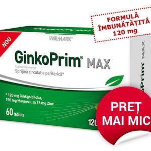 W GinkoPrim Max 120 mg, 60 tablete