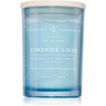 DW Home Charming Farmhouse Sundried Linen lumânare parfumată