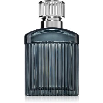 Maison Berger Paris Alpha Black