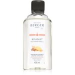 Maison Berger Paris Orange Cinnamon reumplere în aroma difuzoarelor