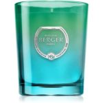 Maison Berger Paris Dare Zest of Verbena lumânare parfumată