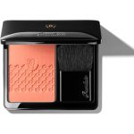 GUERLAIN Rose Aux Joues Tender Blush blush