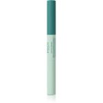 Payot Pâte Grise Stylo Duo Purifiant Correcteur corector pentru reducerea imperfecțiunilor