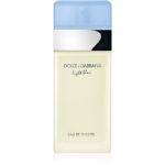 Dolce&Gabbana Light Blue Eau de Toilette pentru femei