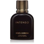 Dolce&Gabbana Pour Homme Intenso Eau de Parfum pentru bărbați