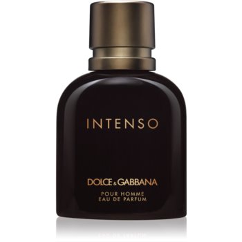Dolce&Gabbana Pour Homme Intenso Eau de Parfum pentru bărbați