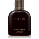 Dolce&Gabbana Pour Homme Intenso Eau de Parfum pentru bărbați