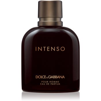 Dolce&Gabbana Pour Homme Intenso Eau de Parfum pentru bărbați